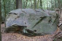 Geologische Exkursion in der Umgebung des Klosters Engelthal - 03 Sandsteinblock im Wald bei Kloster Engelthal (Bildautor: Dr. Günter Seidenschwann)